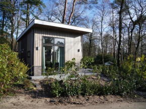 Tiny house near the Veluwe